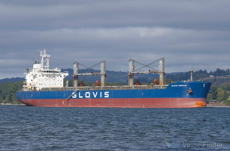 glovis mermaid (Bulk Carrier) - IMO 9543603, MMSI 311064600, Call Sign C6ZS3 under the flag of Bahamas