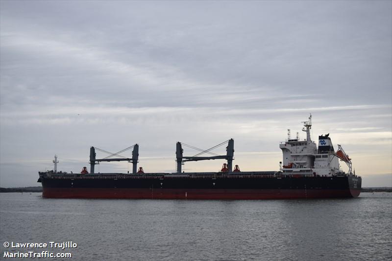 pacific wealth (Bulk Carrier) - IMO 9731975, MMSI 477139500, Call Sign VRRE6 under the flag of Hong Kong