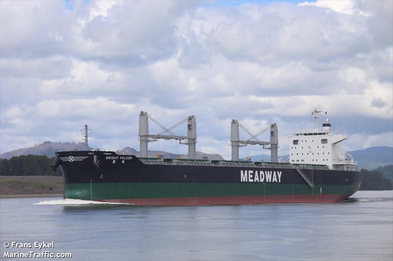 bright falcon (Bulk Carrier) - IMO 9839052, MMSI 538008465, Call Sign V7A2388 under the flag of Marshall Islands