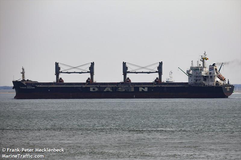 mandarin singapore (Bulk Carrier) - IMO 9569968, MMSI 636019623, Call Sign D5VJ2 under the flag of Liberia