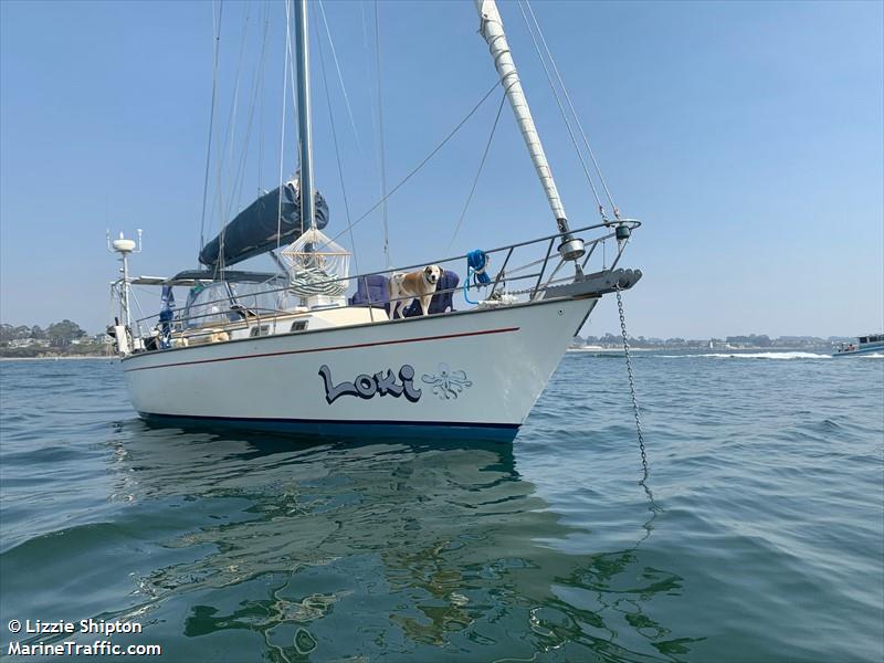 loki (Sailing vessel) - IMO , MMSI 368048610, Call Sign WDK3775 under the flag of United States (USA)
