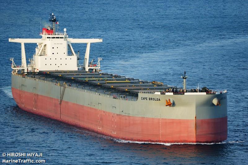 cape brolga (Bulk Carrier) - IMO 9907469, MMSI 431568000, Call Sign 7KKH under the flag of Japan
