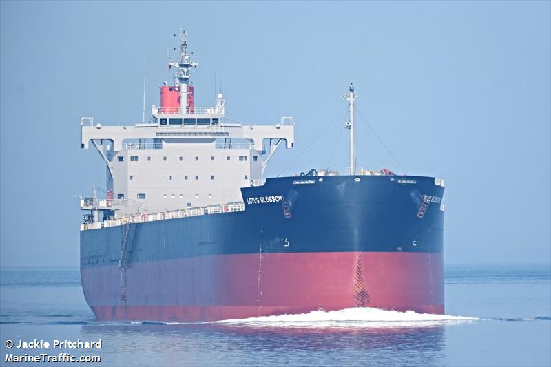 lotus blossom (Bulk Carrier) - IMO 9897597, MMSI 352986187, Call Sign 3E3930 under the flag of Panama