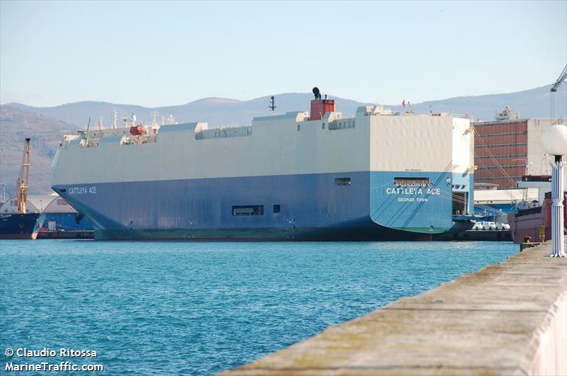 cattleya ace (Vehicles Carrier) - IMO 9544918, MMSI 431573000, Call Sign 7KKG under the flag of Japan