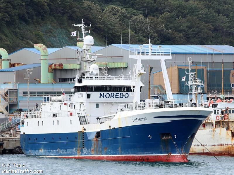 tiburon (Fishing Vessel) - IMO 9055242, MMSI 273840900, Call Sign UFMY under the flag of Russia