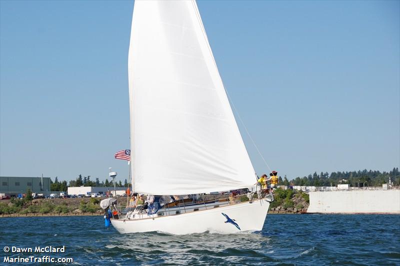 great shearwater (Sailing vessel) - IMO , MMSI 366762170, Call Sign WCY9034 under the flag of United States (USA)
