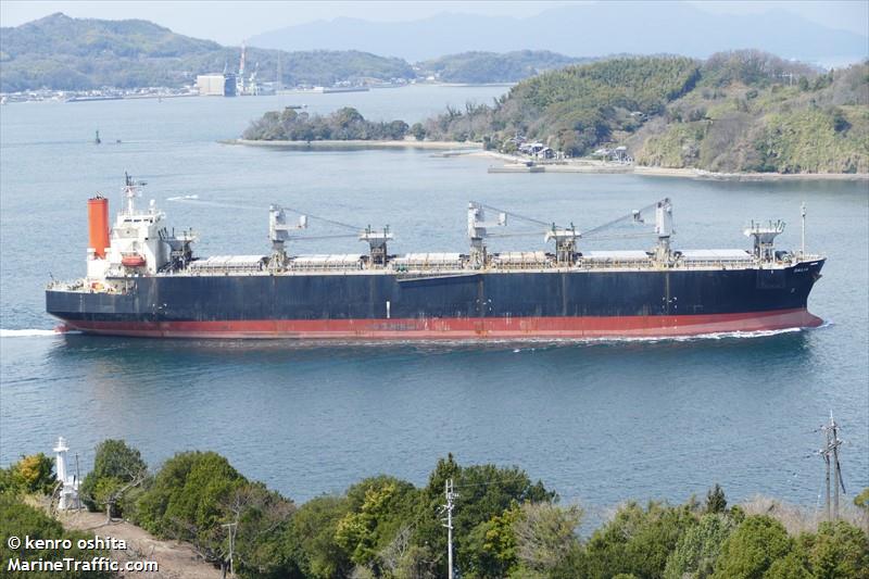 bg brilliance (Wood Chips Carrier) - IMO 9370800, MMSI 563139200, Call Sign 9V7424 under the flag of Singapore