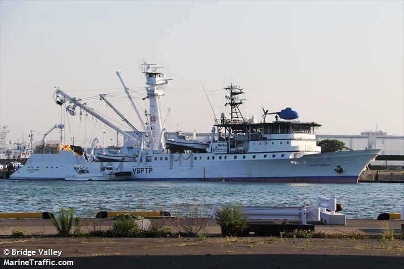 taiyo pohnpei (Fishing Vessel) - IMO 8603755, MMSI 510054000, Call Sign V6PTP under the flag of Micronesia