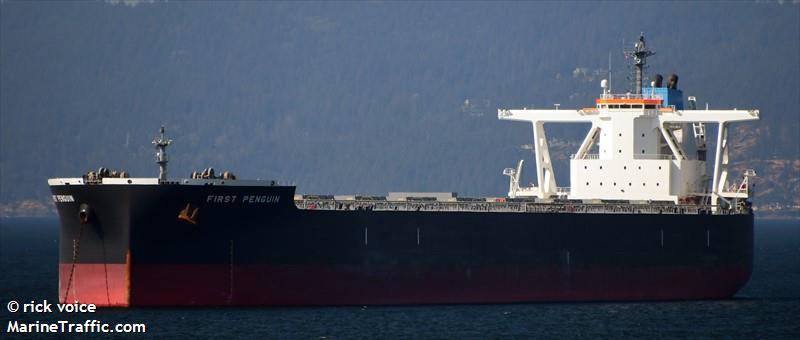 first penguin (Bulk Carrier) - IMO 9922691, MMSI 352980794, Call Sign 3E3534 under the flag of Panama