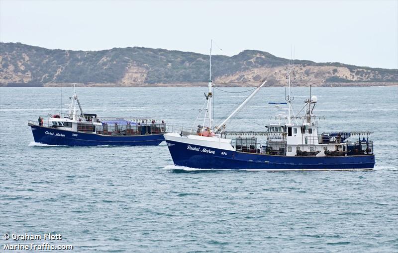 carol maree (Fishing vessel) - IMO , MMSI 503054240, Call Sign XWU under the flag of Australia