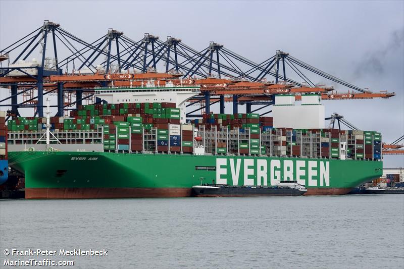 ever aim (Container Ship) - IMO 9893917, MMSI 352980788, Call Sign 3E3532 under the flag of Panama