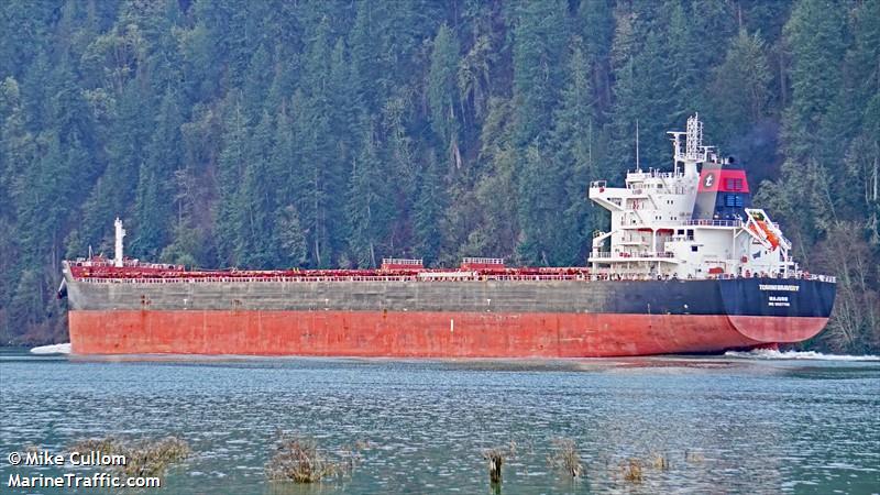 tomini bravery (Bulk Carrier) - IMO 9687708, MMSI 538009539, Call Sign V7A4864 under the flag of Marshall Islands