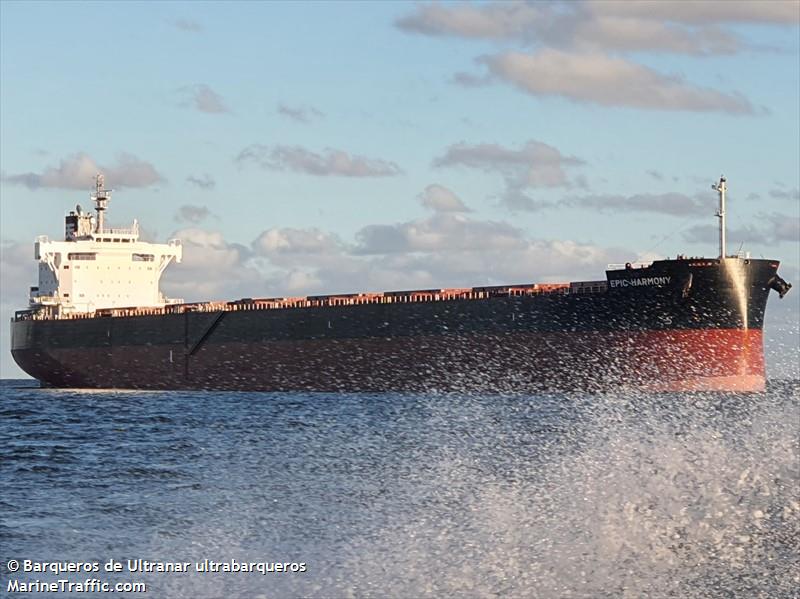 epic harmony (Bulk Carrier) - IMO 9922005, MMSI 563138500, Call Sign 9V7091 under the flag of Singapore