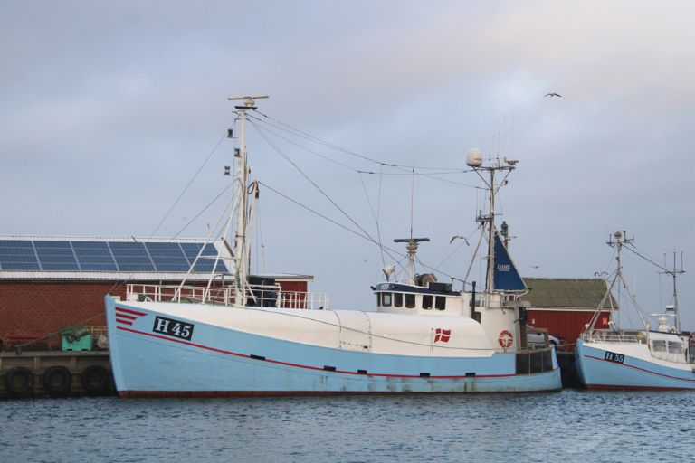 lone (Fishing vessel) - IMO , MMSI 220369000, Call Sign OZUH under the flag of Denmark