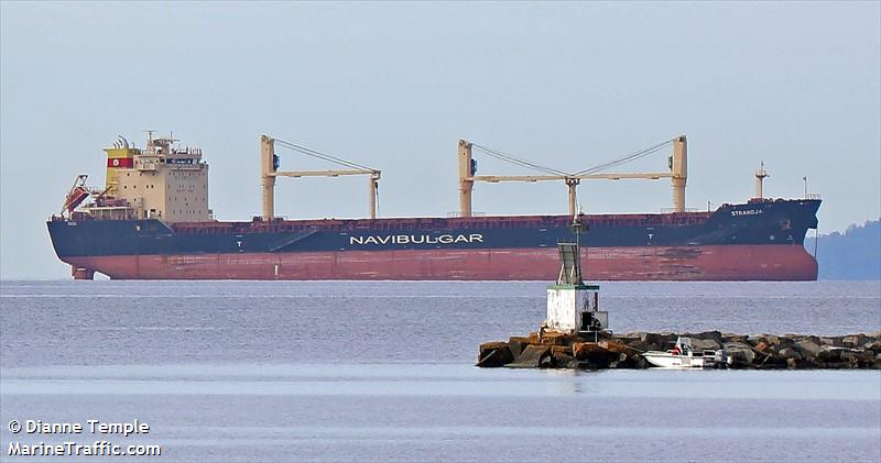 strandja (Bulk Carrier) - IMO 9564140, MMSI 248724000, Call Sign 9HA2483 under the flag of Malta