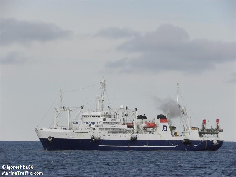 siglan (Fish Factory Ship) - IMO 8116312, MMSI 273219500, Call Sign UFOM under the flag of Russia