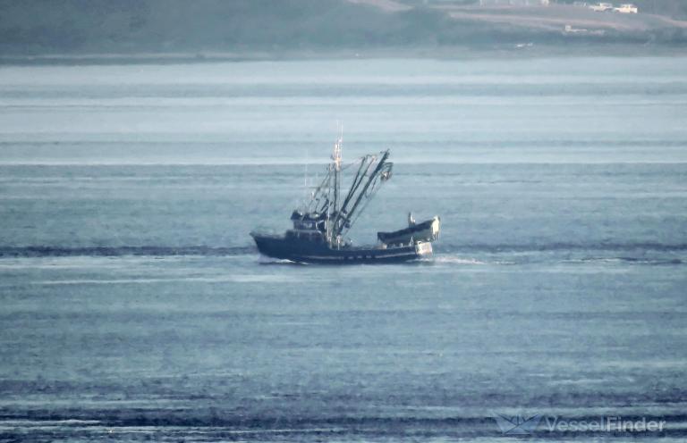 cape cheerful (Fishing vessel) - IMO , MMSI 367734510, Call Sign WDI8020 under the flag of United States (USA)