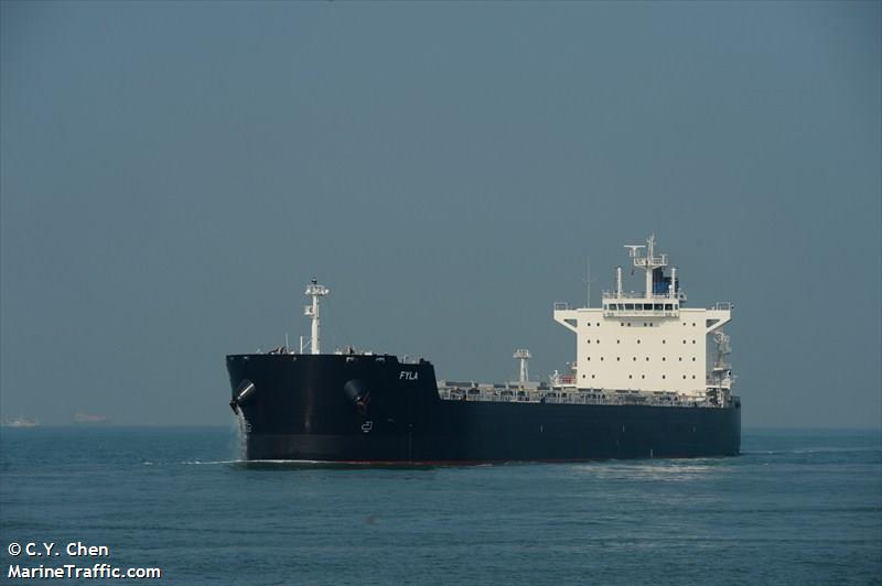 fyla (Bulk Carrier) - IMO 9591155, MMSI 210364000, Call Sign 5BUE3 under the flag of Cyprus