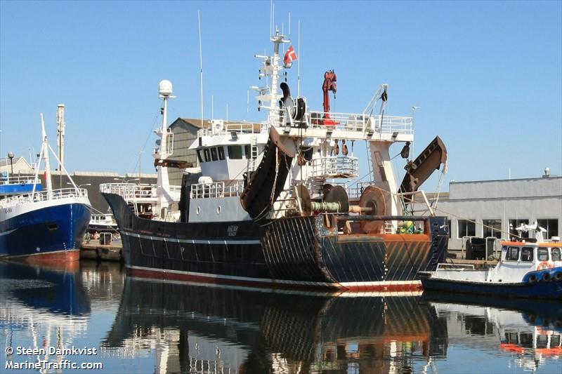 ahlma west (Fishing Vessel) - IMO 8741416, MMSI 219026170, Call Sign OYNY under the flag of Denmark