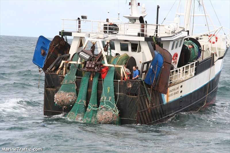 madsalune (Fishing vessel) - IMO , MMSI 219959000, Call Sign OZZH under the flag of Denmark