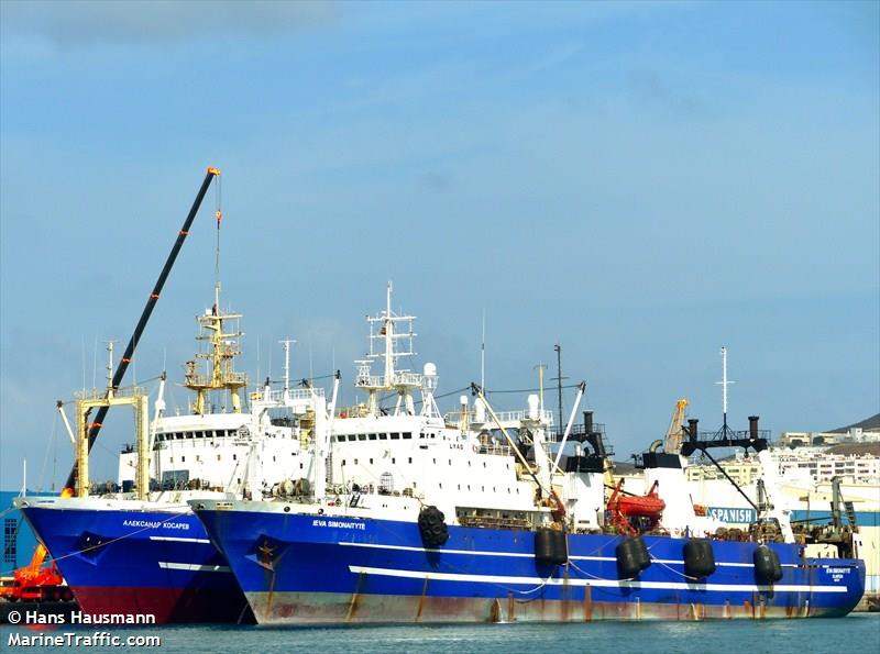 ieva simonaityte (Fish Factory Ship) - IMO 8607218, MMSI 277506000, Call Sign LYAD under the flag of Lithuania