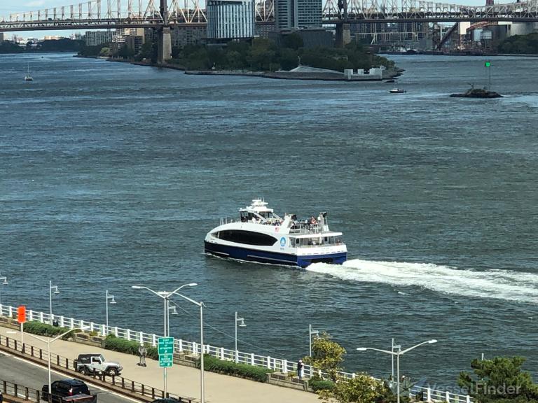 cyclone shark (Passenger ship) - IMO , MMSI 368139870, Call Sign WDL5304 under the flag of United States (USA)