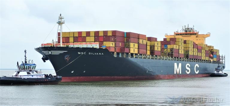 msc silvana (Container Ship) - IMO 9309459, MMSI 371908000, Call Sign 3EEI3 under the flag of Panama
