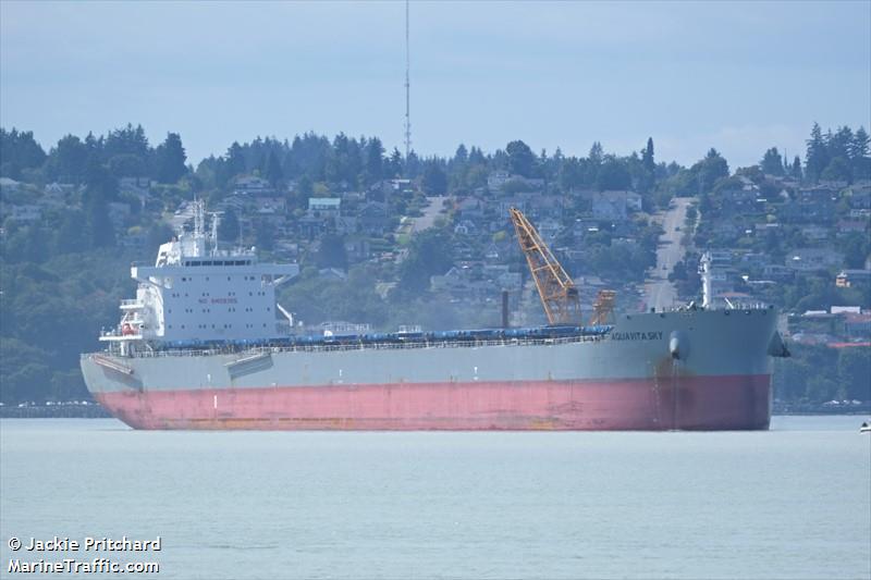 aquavita sky (Bulk Carrier) - IMO 9855513, MMSI 548982000, Call Sign DUKF under the flag of Philippines