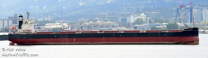 majulah harbourfront (Bulk Carrier) - IMO 9668893, MMSI 563092300, Call Sign 9V6485 under the flag of Singapore