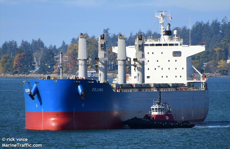 dejima (Bulk Carrier) - IMO 9860594, MMSI 636019592, Call Sign D5VF3 under the flag of Liberia