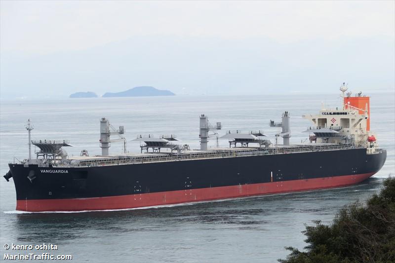 vanguardia (Wood Chips Carrier) - IMO 9875226, MMSI 431041000, Call Sign 7KKE under the flag of Japan