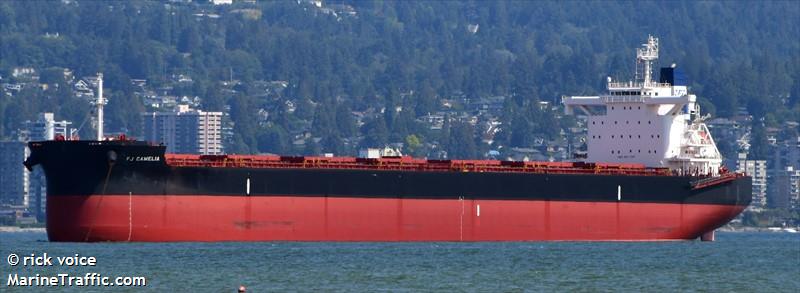 fj camelia (Bulk Carrier) - IMO 9911769, MMSI 538009555, Call Sign V7A4884 under the flag of Marshall Islands