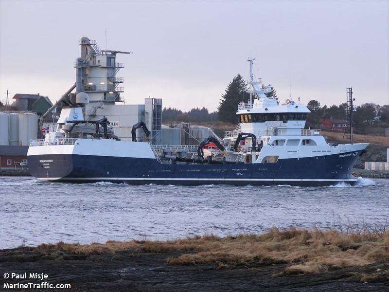 ronja carrier (Fish Carrier) - IMO 9452311, MMSI 259288000, Call Sign LAUU under the flag of Norway