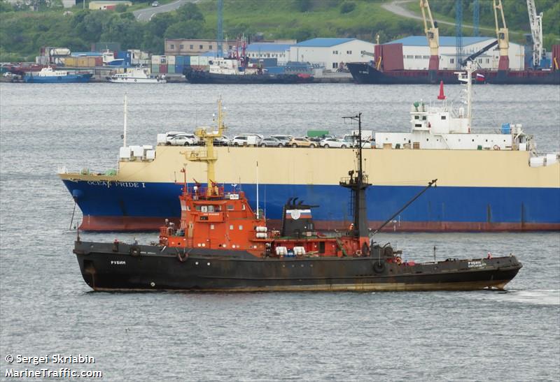 rubin (Tug) - IMO 8033883, MMSI 273189700, Call Sign UFYT under the flag of Russia