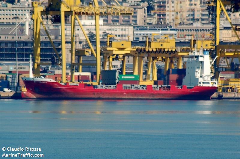 scorpion 1 (Container Ship) - IMO 9061277, MMSI 352898674, Call Sign 3E3591 under the flag of Panama