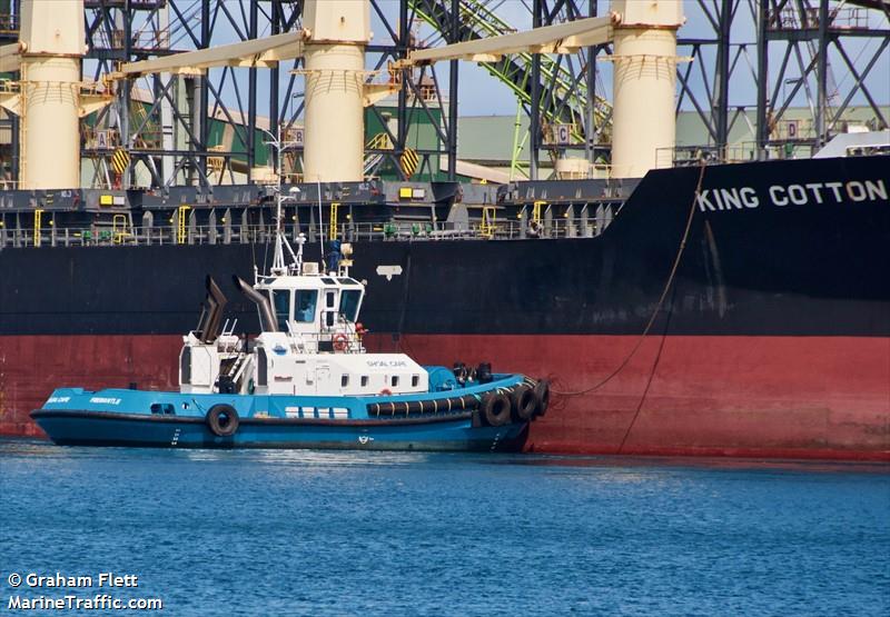 shoal cape (Tug) - IMO , MMSI 503520300, Call Sign VNW5796 under the flag of Australia