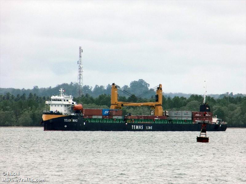 mv teluk mas (Container Ship) - IMO 9783875, MMSI 525007400, Call Sign YBGO2 under the flag of Indonesia