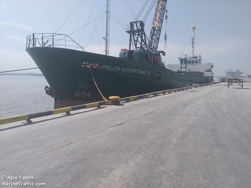 km pelitanusantara12 (Cargo ship) - IMO , MMSI 525024386, Call Sign JZAJ under the flag of Indonesia