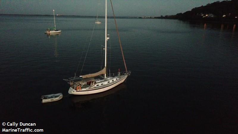 tala (Sailing vessel) - IMO , MMSI 316047662, Call Sign CFA3518 under the flag of Canada