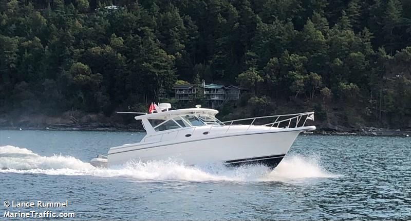 rogue (Pleasure craft) - IMO , MMSI 338384565 under the flag of USA