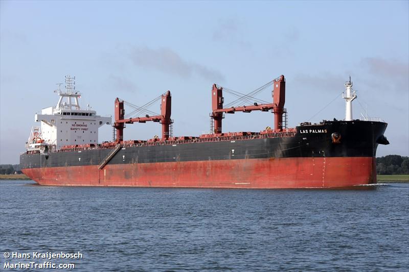 las palmas (Bulk Carrier) - IMO 9916290, MMSI 374983000, Call Sign 3EEA8 under the flag of Panama