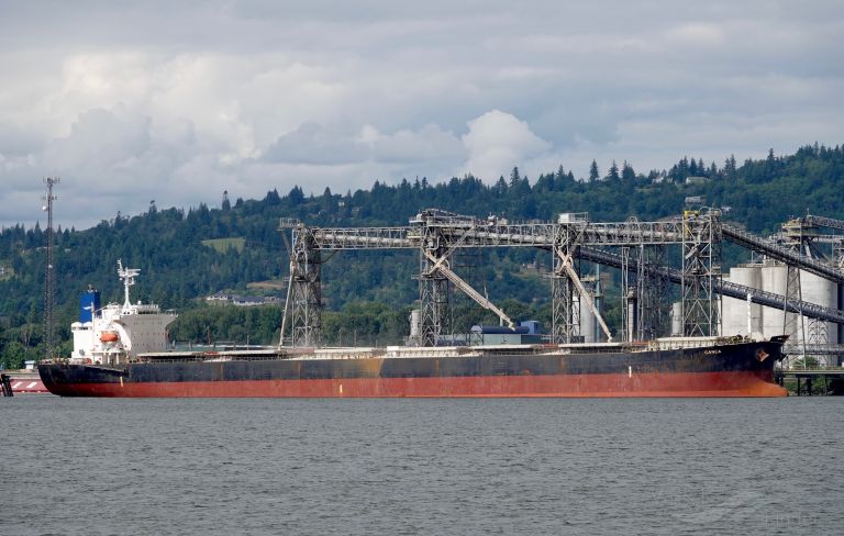 the ruler (Bulk Carrier) - IMO 9336608, MMSI 352978247, Call Sign 3E3360 under the flag of Panama