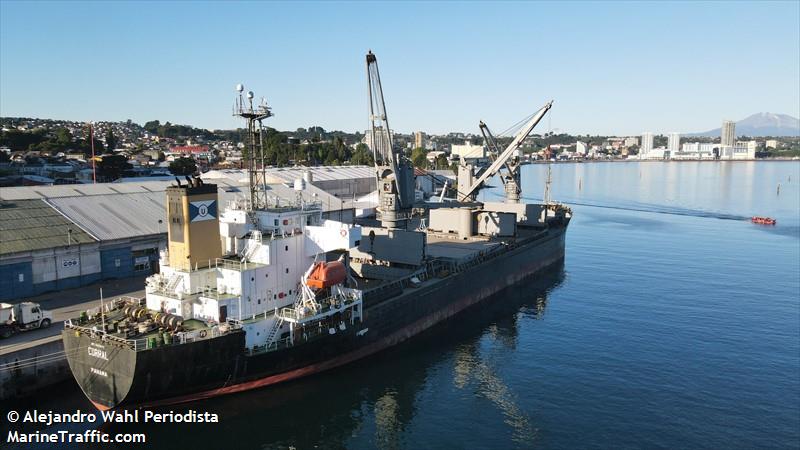 corral (Bulk Carrier) - IMO 9310575, MMSI 352980868, Call Sign 3E3583 under the flag of Panama