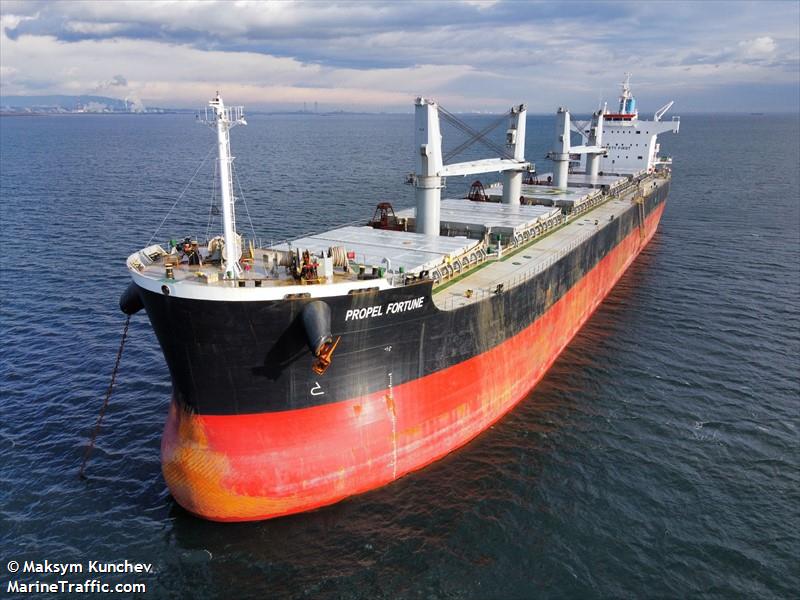 propel fortune (Bulk Carrier) - IMO 9500699, MMSI 563142300, Call Sign 9V7580 under the flag of Singapore