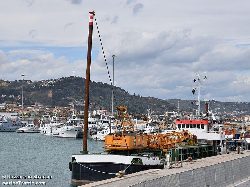 fortunato (Cargo ship) - IMO , MMSI 247275500, Call Sign IPPI under the flag of Italy