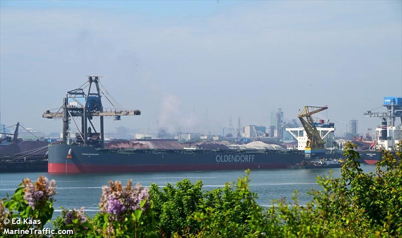 hauke oldendorff (Bulk Carrier) - IMO 9871115, MMSI 255805821, Call Sign CQEZ9 under the flag of Madeira