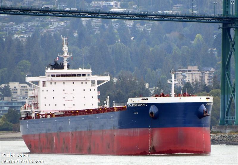 rich rainforest (Bulk Carrier) - IMO 9935454, MMSI 352898768, Call Sign 3E2050 under the flag of Panama