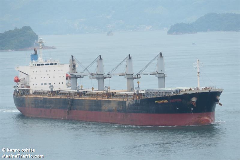 fortune ark (Bulk Carrier) - IMO 9377676, MMSI 538009650, Call Sign V7A4996 under the flag of Marshall Islands