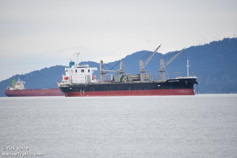 st. david (Bulk Carrier) - IMO 9864899, MMSI 538009798, Call Sign V7A5174 under the flag of Marshall Islands