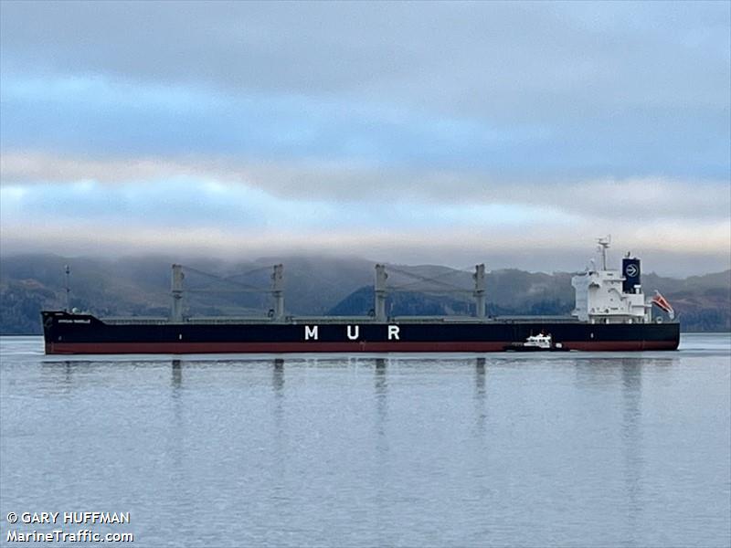 african isabelle (Bulk Carrier) - IMO 9919553, MMSI 352898819, Call Sign 3E2077 under the flag of Panama